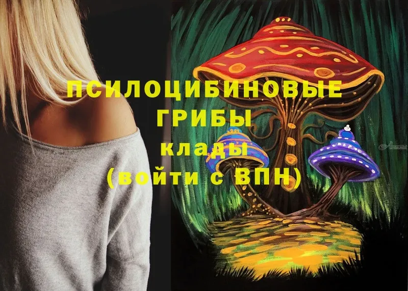 Галлюциногенные грибы Psilocybine cubensis  купить закладку  omg ТОР  Муравленко 